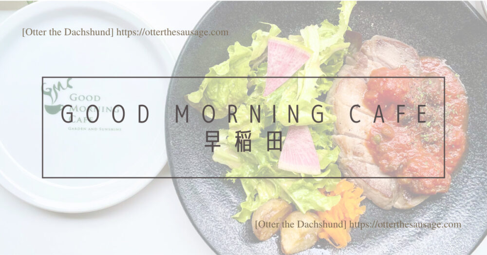Header Image_Otter the Dachshund_hang out with dogs_犬旅ブログ_犬とお出かけブログ_Good Morning Cafe早稲田_ドッグフレンドリーカフェ_GOOD MORNING CAFE早稲田